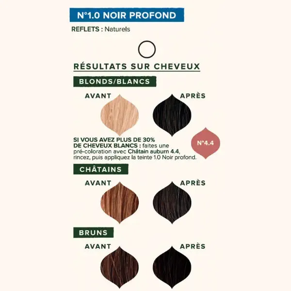 Deep Black Plant-Based Hair Dye N°1.0 - Emblica