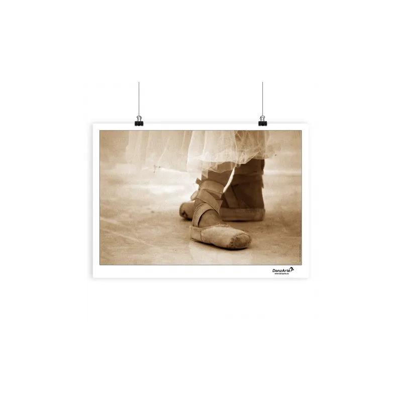 DanzArte Pointe Shoes Poster | Shop Now for Elegant Ballet Decor