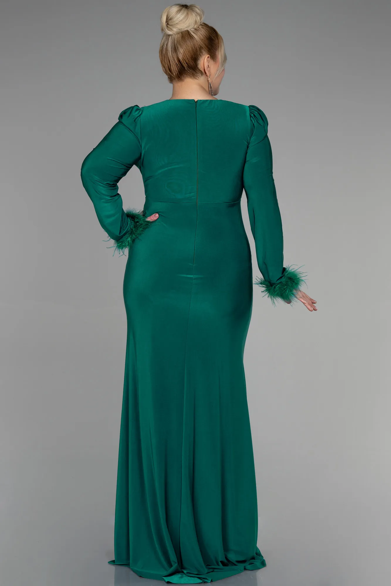 Emerald Long Plus Size Evening Gown ABU2832