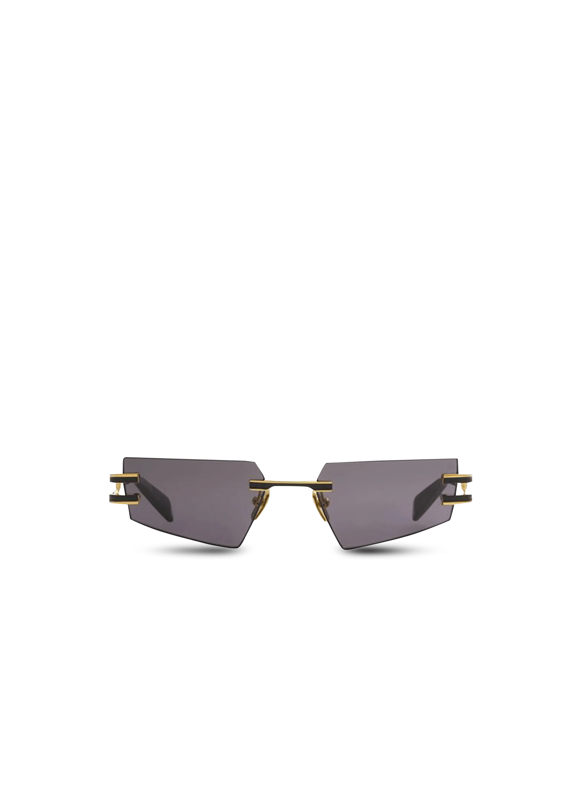 Fixed Titanium Sunglasses